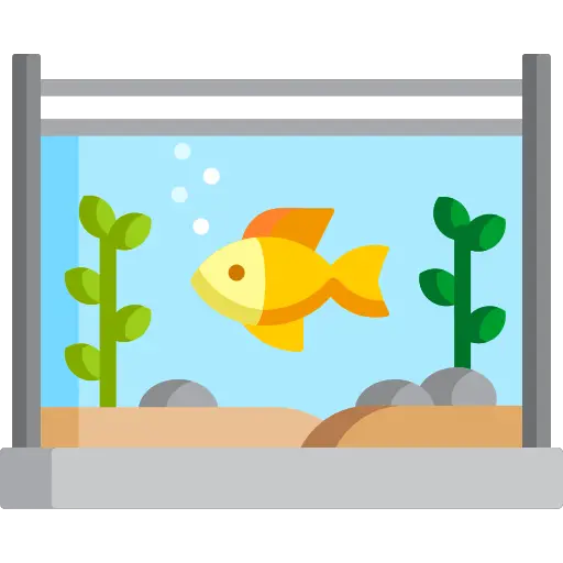 aquarium trop petit, mort des poissons