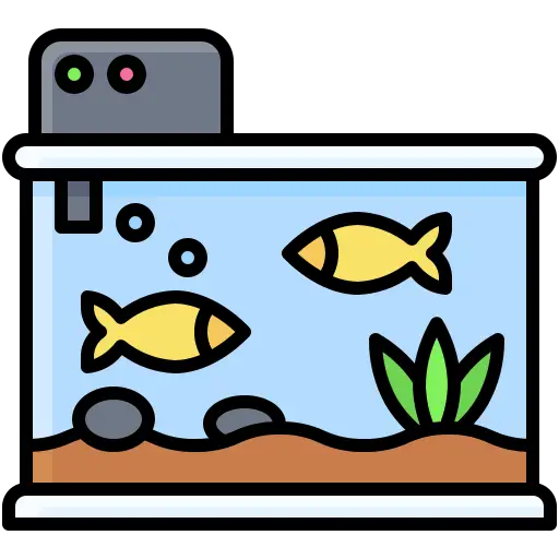 changer eau aquarium poisson flotte sur le ventre