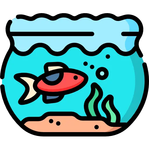eau propre et filtrée poisson rouge