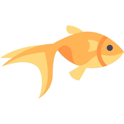 poisson rouge perd ses couleurs