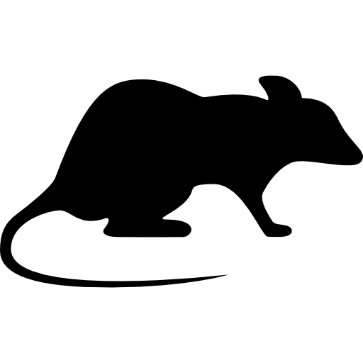 cohabitation rat hamster impossible