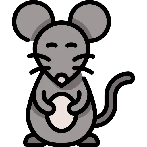 hamster peut vivre avec une souris?