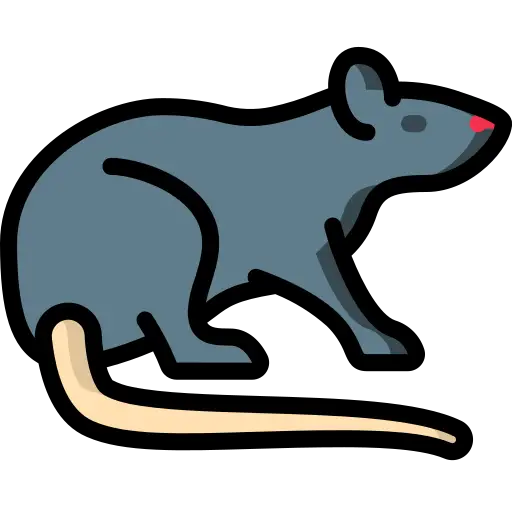 Pourquoi les rats s'isolent-ils ? Les raisons possibles de la solitude chez les rats