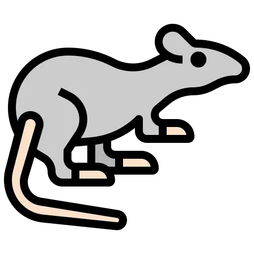 Mon rat ne bouge plus : Les raisons possibles et les traitements