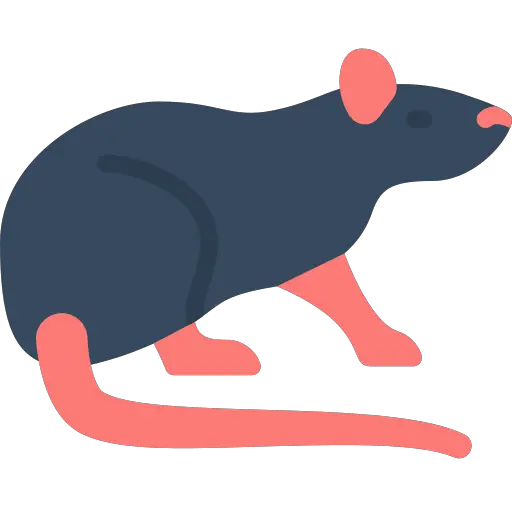 Rat qui dort beaucoup : Comment reconnaître les signes de fatigue ou de maladie