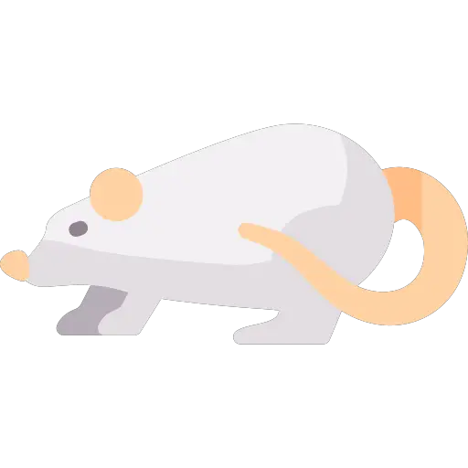 Comprendre les couinements chez les rats : Du comportement social à la douleur