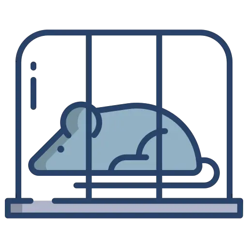 Rat qui dort beaucoup état cage